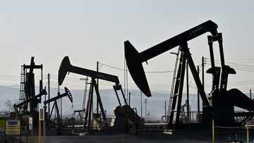 World Bank expects oil glut to cause commodity price slump