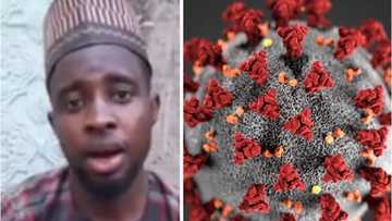 Nayi imani da Allah cewa a yanzu aka hadani da mai cutar Coronavirus zai warke - Matashin mai magani dan Kano