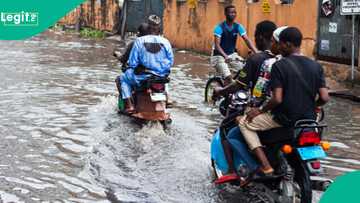Yobe flood disaster kills 7, over 4,500 households affected
