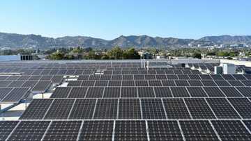 Biden laying foundation for green energy investments: Yellen