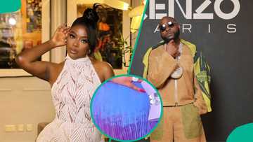 Davido’s baby mama Sophia Momodu pregnant? She breaks silence in viral video: "Now we can rest"