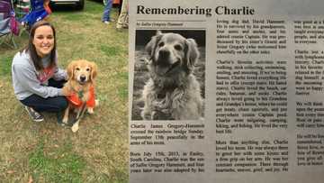 Woman mourns her dog like it is a child, publishes its obituary in national newspaper (photos)