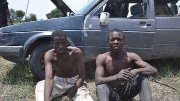 Nigerian troops capture 2 Boko Haram logistics suppliers, recover items