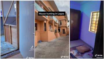 N2.7m rent in Lagos & N80k monthly for diesel: 3 interesting house stories that trended