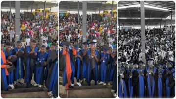 “First-semester result go humble una”: Young boys celebrate matriculation in style, video goes viral