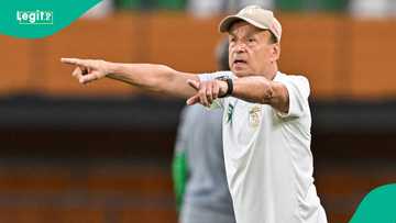 Rohr sends warning to Super Eagles ahead of Nigeria vs Zimbabwe World Cup qualifier