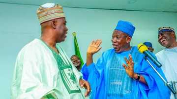Kwankwasiyya: Buhari ya bawa Rabiu Sulaiman mukami mai tsoka
