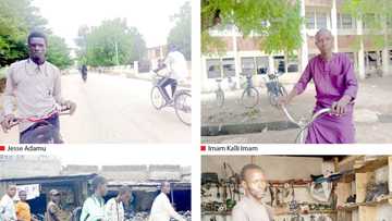 Tsadar Mai: Ma’aikata, Dalibai Da 'Yan Kasuwa Sunce Ga Mafita, Sun Koma Hawa Keke a Maiduguri
