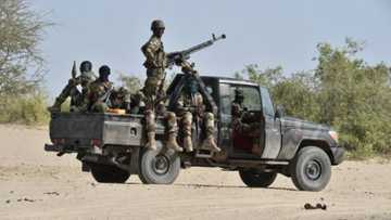 Boko Haram terrorists storm Adamawa community