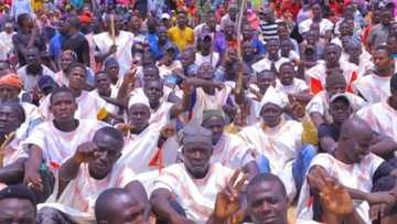 Mafarauta: 'Manyan dabbobi' irin 'yan bindiga da masu satar mutane zamu saka gaba