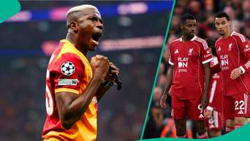 UCL: Comparing Victor Osimhen’s stats to Liverpool strikers’ this season