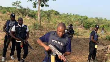 Abba Kyari, team storm bushes along Abuja-Kaduna expressway to hunt kidnappers, bandits (photos)