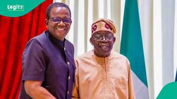 Pro-Tinubu group congratulates Matawalle on APC campaign council nomination, pledges 20m votes