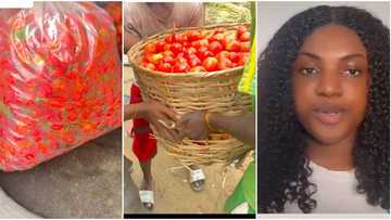 Nigerian lady buys N2000 pepper, basket of tomatoes after finding market where it is cheap, video goes viral
