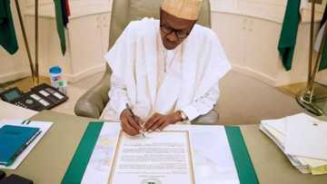 Daga karshe: Gwamnatin Buhari ta daina biyan kudin tallafin man fetir