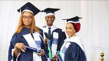 Nile University set to enhance students’ careers with robust school of Postgraduate Studies