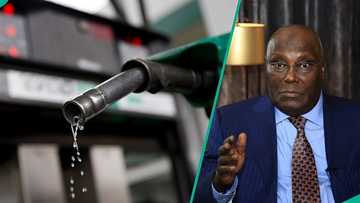 N1,400/per litre: Atiku reacts to FG’s petrol price in Nigeria comparison with US