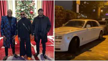 Moment Oba Elegushi, flashy pastor Tobi Adegboyega stormed out in White Rolls Royce to Wizkid's London concert