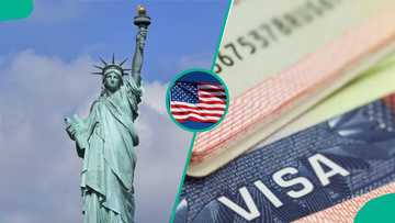 Full list: 5 US work visas foreigners can use for permanent residency