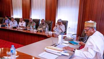 Call for service chiefs' sack: You disrespected the president - Buhari supporters tell Senate