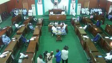 Siyasar 2019 a Yobe ta dauki dumi - Ali Zanna, na ukku a jihar yayi murabus