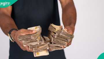 Application opens for CBN’s agricultural credit guarantee scheme, up to N50m for grabs