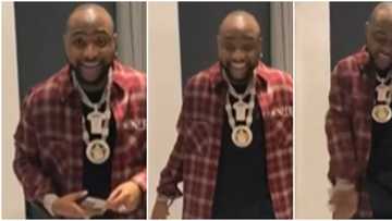 Daddy during the day, rockstar at night: Fans gush over Davido as he jumps on wife material challenge