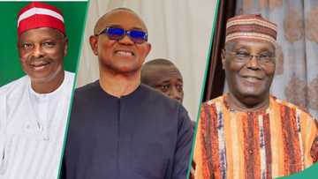 “We decided to come together”: NNPP nat'l secretary responds to talks of coalition with LP, others