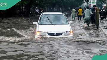 Hundreds dead as devastating rainfall triggers heavy flood, ravages communities