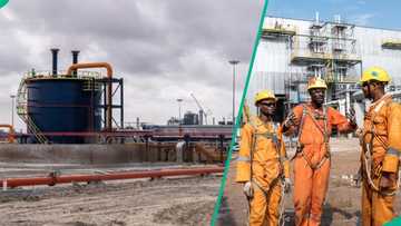 Dangote Group announces job vacancies at refinery, releases application link, requirements