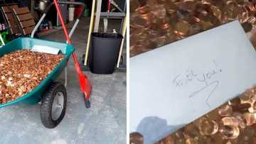 Man sues former boss who paid him N379k in grease-stained coins after several months of asking for his money