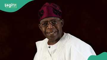Good news as Nigeria's revenue hits N6.9 trillion in four months after FG plugged leakages