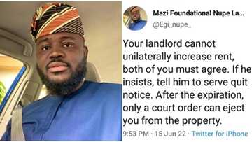 "What if him use area boys?" Reactions as lawyer says landlord can't increase rent without consulting tenant