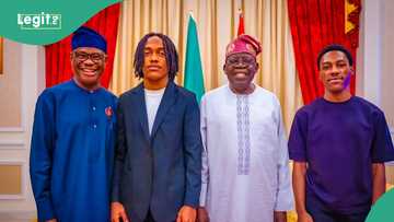 Christmas celebration: Photos trend as Wike, sons visit Tinubu in Lagos