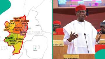 Ned Nwoko shares post with map of Anioma state as national assembly okays creation of another state