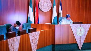 FEC ta amince da fitar da N8 biliyan don titin Kano zuwa Maiduguri