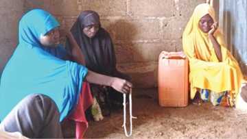 Rudani: Yadda dangin amarya suka kashe ango dan jihar Borno da 'yan biki 7 a jihar Adamawa