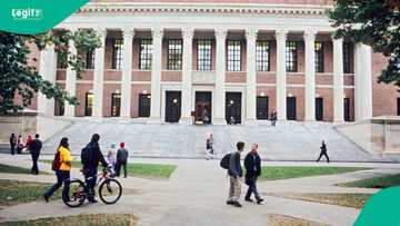 Top 10 best universities in the world 2026 listed in latest global rankings