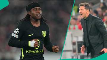 Diego Simeone explains Lookman's role in helping Atletico secure draw vs Stuttgart