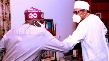 Rashin tsaro: Tinubu ya gana da Buhari, yace babu shugaban kasan da zai so a gurgunta kasarsa