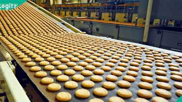 Okin Biscuits restarts production in Offa after 17 years of factory inactivity