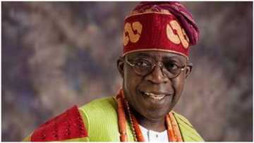 2023: Prominent Northern group declares support for Tinubu, urges parties to adopt him as sole candidate