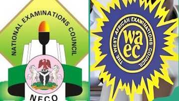 Can I combine WAEC and NECO for admission? A list of universities that accept combinations