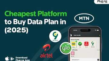 Cheapest platform to buy data plan in 2025: Plug.ng