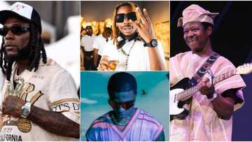 Burna Boy, Wizkid, Asake, KSA, 3 other Nigerian artists with highest peaking albums on Billboard top 200