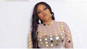 You want to return to the streets: Trolls pounce on BBNaija's Tega for saying marriage is a difficult reality