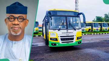 Fuel hike: Jubilation as Nigerian governor rolls out 100 CNG buses to transporters