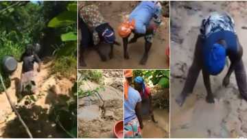 This is heartbreaking: Reactions as residents of Kwara community dig ground with their hands for dirty water