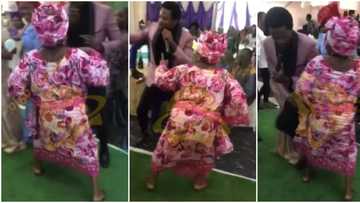 Grandma sets Edo wedding on fire as she dances with great energy in cute video, MC ran away in surprise