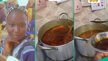 Woman who begged husband to cook marvels over amount of palm oil he used in egusi soup, video trends
